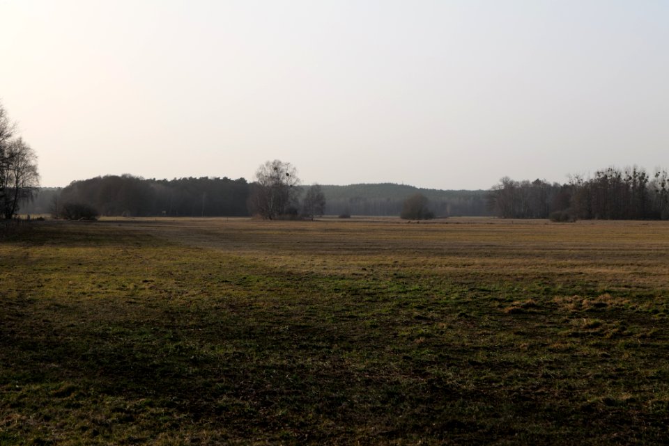 Nuthe-Nieplitz-Niederung 2021-02-24 68