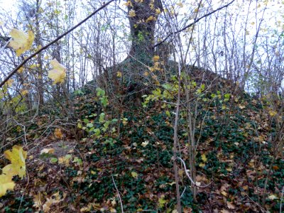 Nuth-Heuvel aan de Wienweg (3)