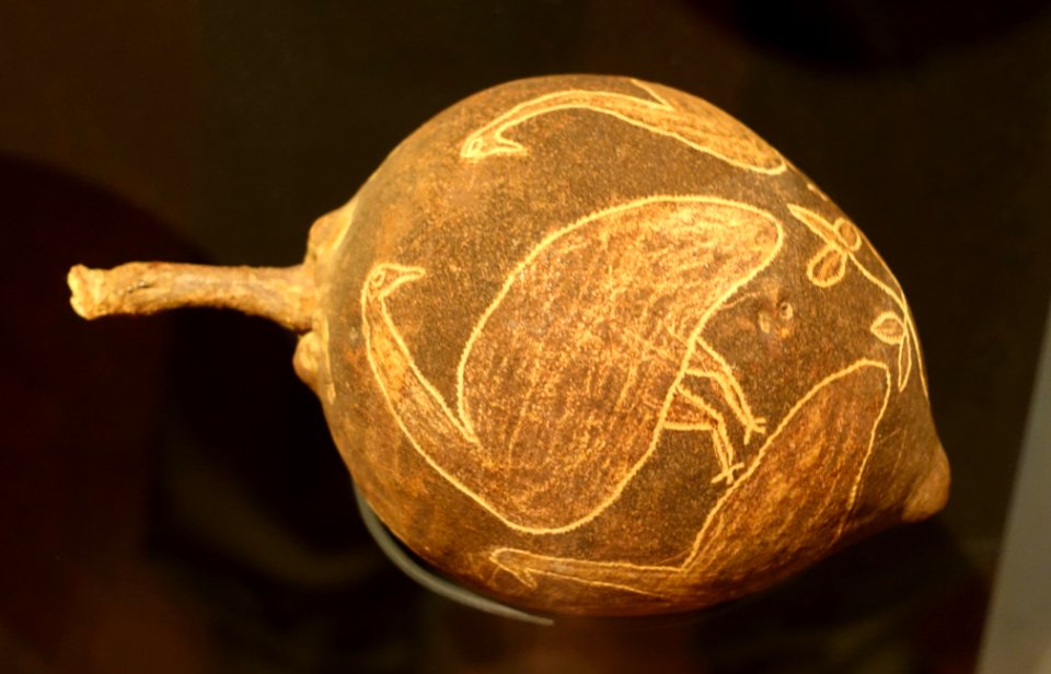 Nut from baobab tree, Kimberly, Australia, c. 1912 - Etnografiska museet - Stockholm, Sweden - DSC01377