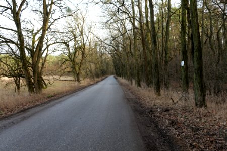 Nuthetal - Beelitzer Sander Saarmund 2021-02-24 01