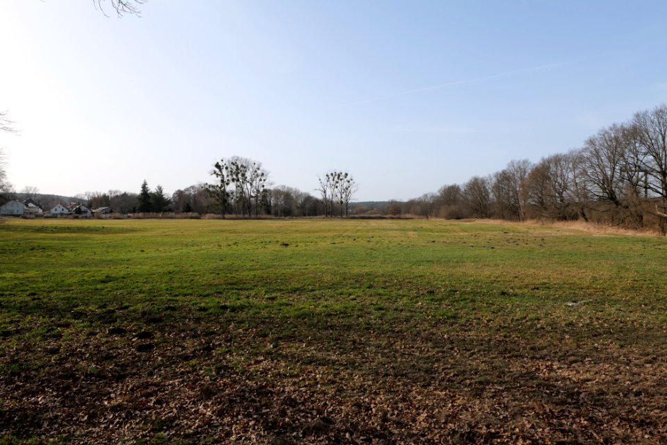 Nuthetal - Beelitzer Sander Nudow 2021-02-24 08