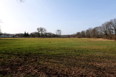 Nuthetal - Beelitzer Sander Nudow 2021-02-24 08