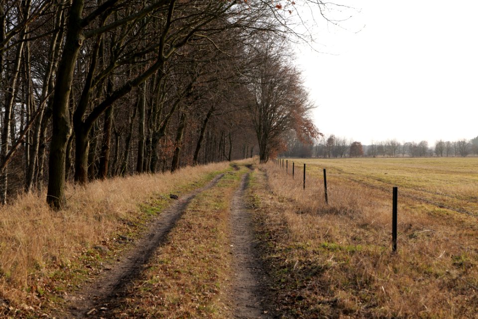 Nuthe-Nieplitz-Niederung 2021-02-24 58
