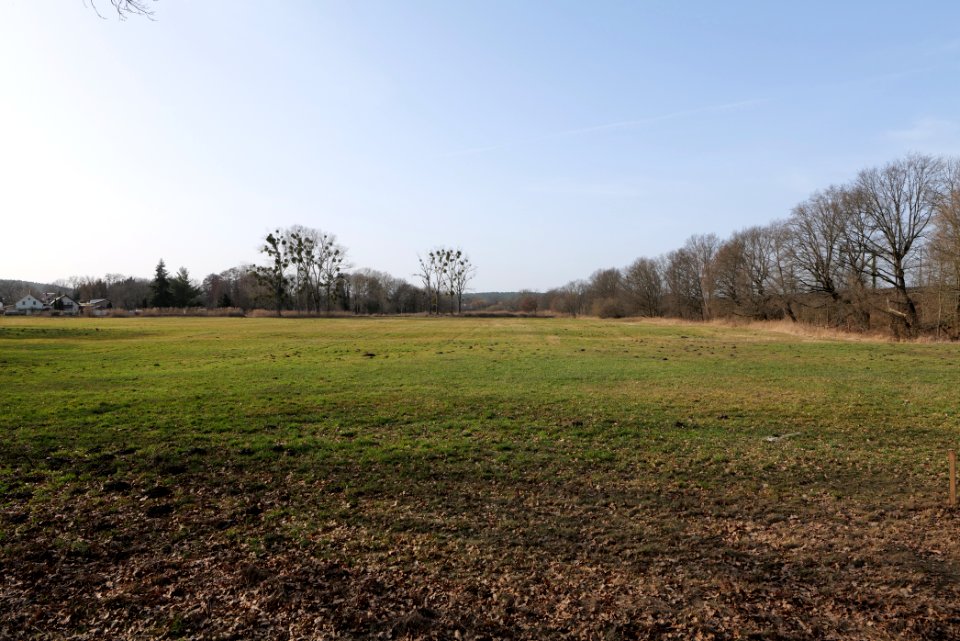 Nuthetal - Beelitzer Sander Nudow 2021-02-24 03