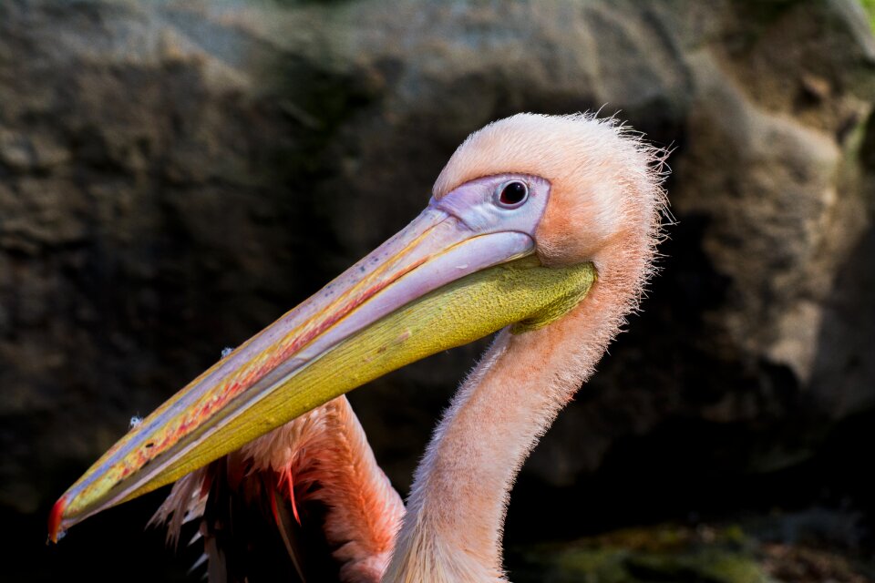 Zoo emmen zoo emmen photo