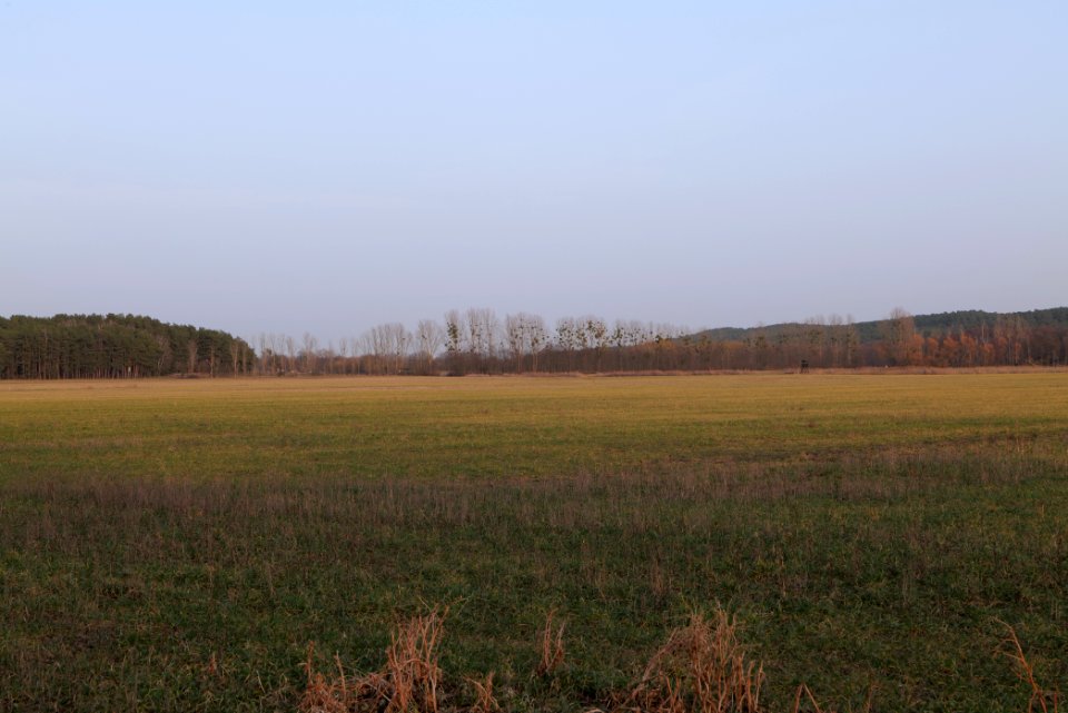 Nuthetal - Beelitzer Sander Blankensee 2021-02-24 06