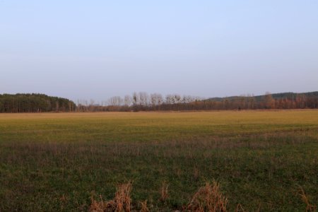 Nuthetal - Beelitzer Sander Blankensee 2021-02-24 06