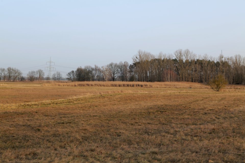 Nuthe-Nieplitz-Niederung 2021-02-24 96