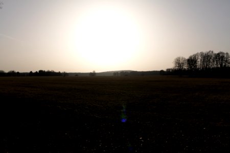 Nuthe-Nieplitz-Niederung 2021-02-24 51