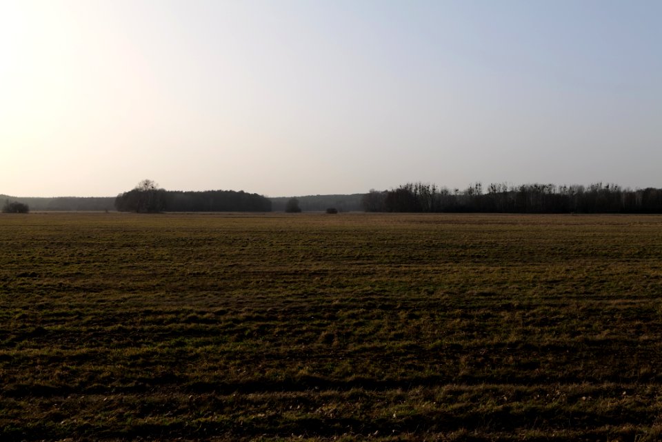 Nuthe-Nieplitz-Niederung 2021-02-24 65