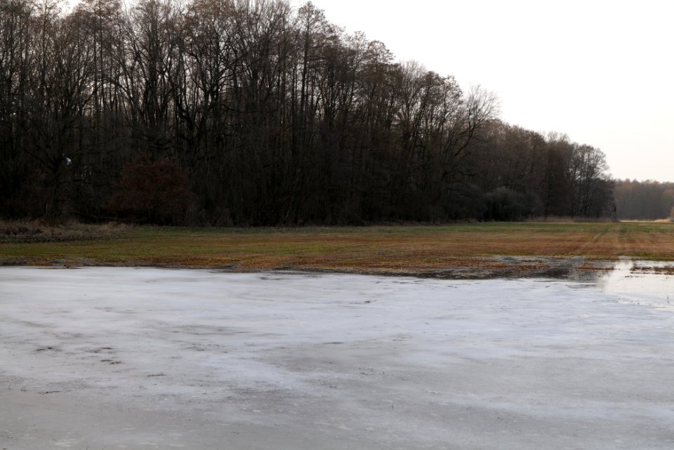 Nuthe-Nieplitz-Niederung 2021-02-24 48