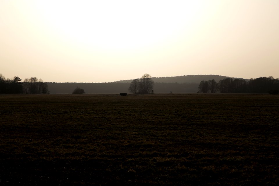 Nuthe-Nieplitz-Niederung 2021-02-24 57