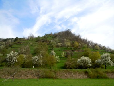 NSG Spitzberg Oedenburg