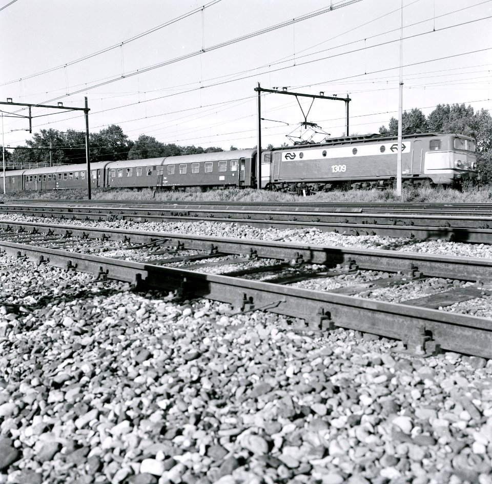NS 1309 - HUA-167709