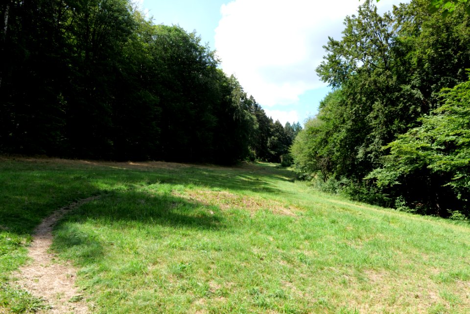 NSG Reichenbachtal 2020-08-18 13