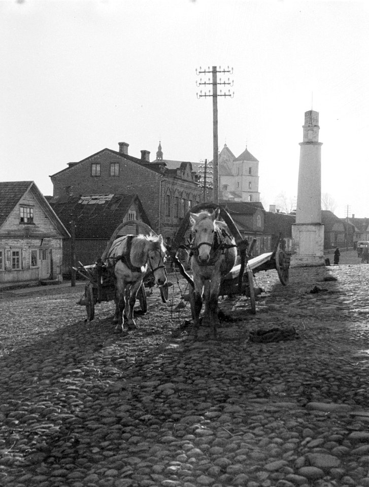Novy Troky (Trakai). Plein met twee paarden, elk voor een kar gespannen met op d, Bestanddeelnr 252-1344