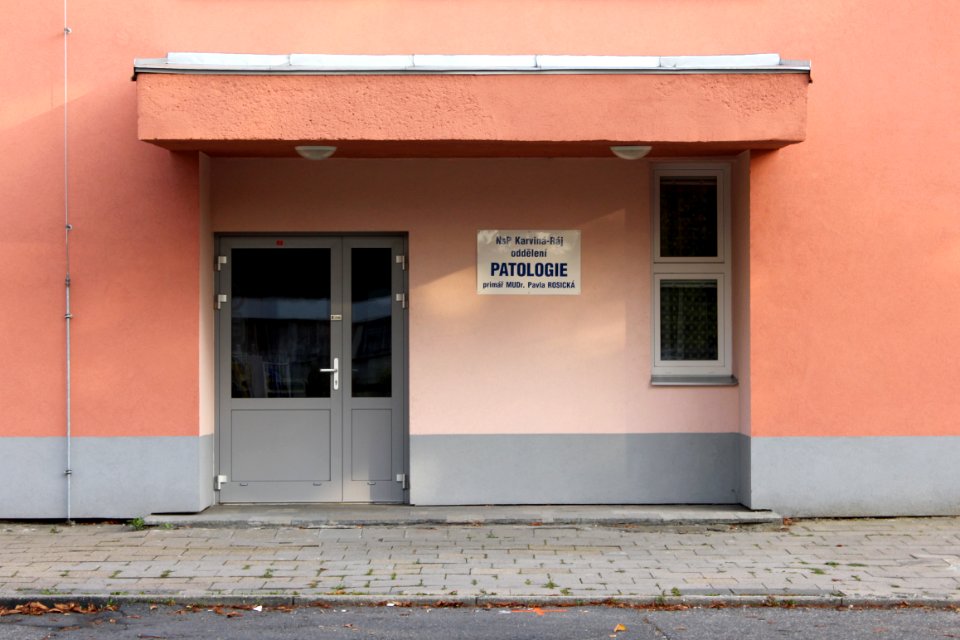 NsP Karviná-Ráj, patologie