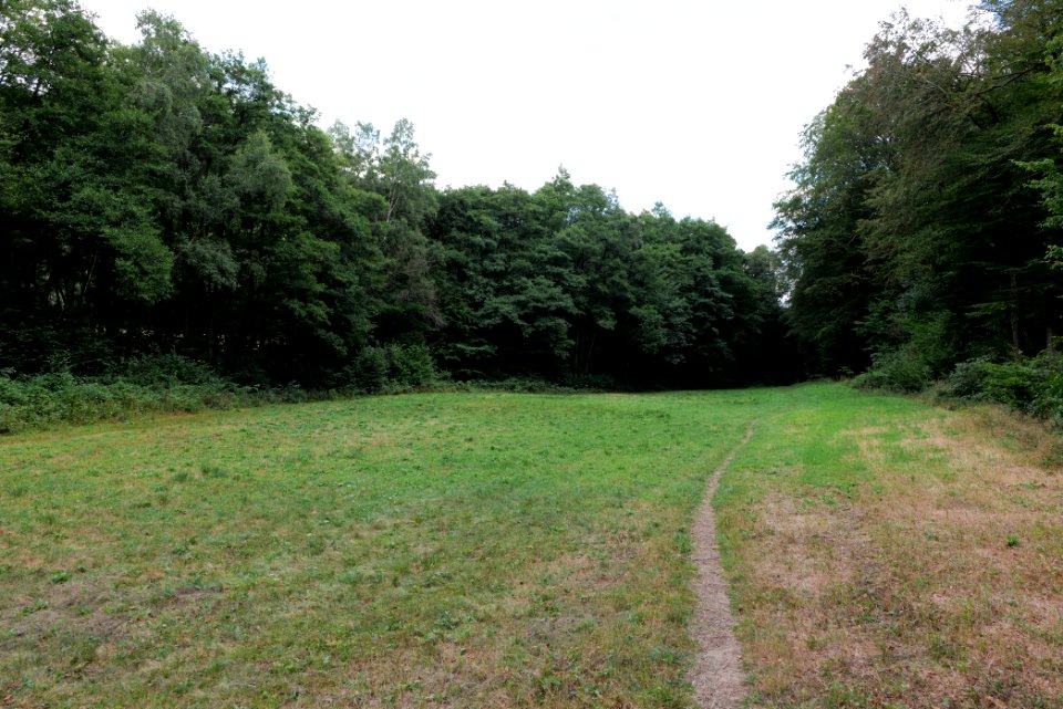 NSG Reichenbachtal 2020-08-18 37