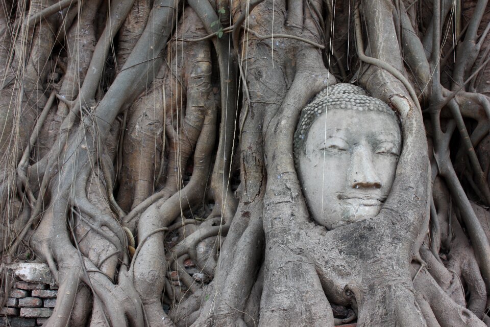 Thailand temple image