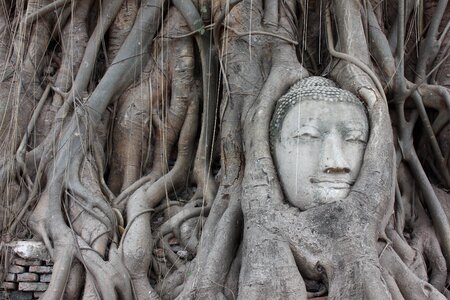 Thailand temple image photo