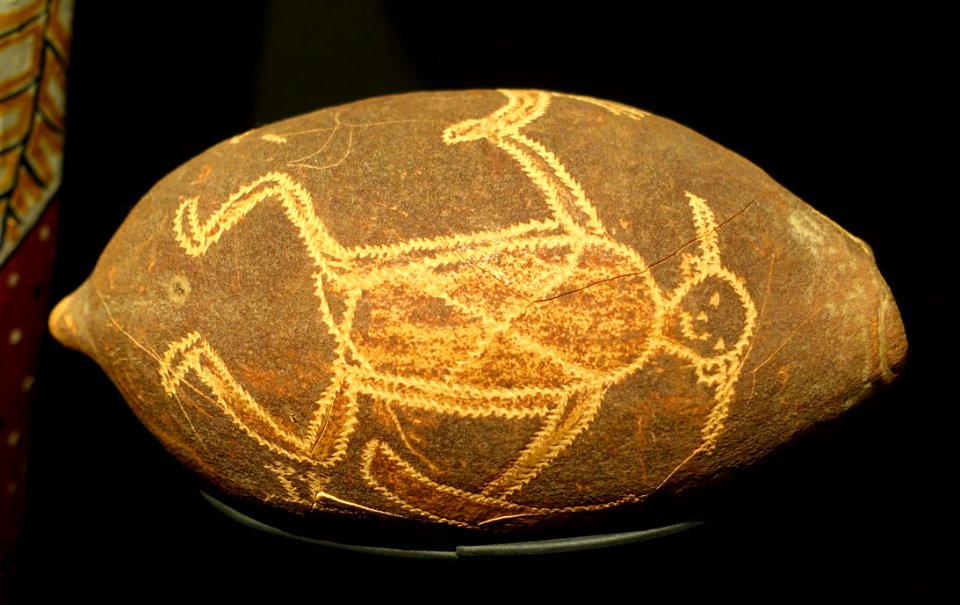Nut from baobab tree, Kimberly, Australia, c. 1912 - Etnografiska museet - Stockholm, Sweden - DSC01374