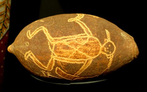 Nut from baobab tree, Kimberly, Australia, c. 1912 - Etnografiska museet - Stockholm, Sweden - DSC01374