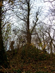 Nuth-Heuvel aan de Wienweg (5)