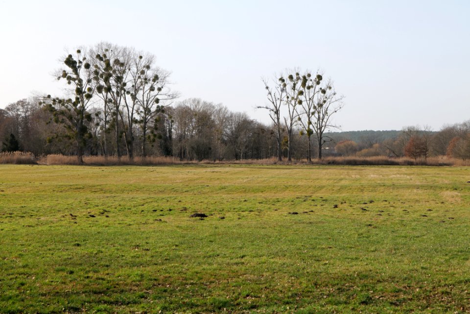 Nuthetal - Beelitzer Sander Nudow 2021-02-24 06