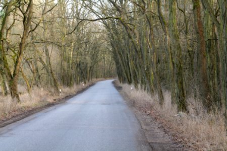 Nuthetal - Beelitzer Sander Saarmund 2021-02-24 06