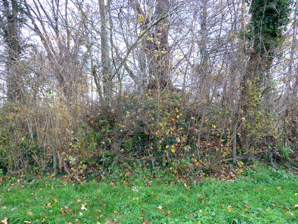 Nuth-Heuvel aan de Wienweg (2)