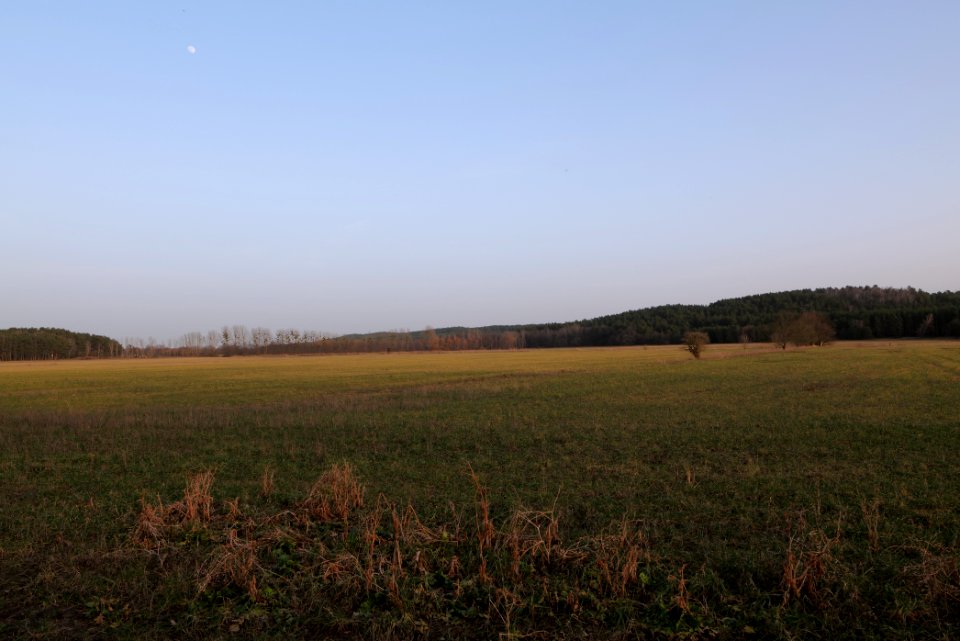Nuthetal - Beelitzer Sander Blankensee 2021-02-24 01
