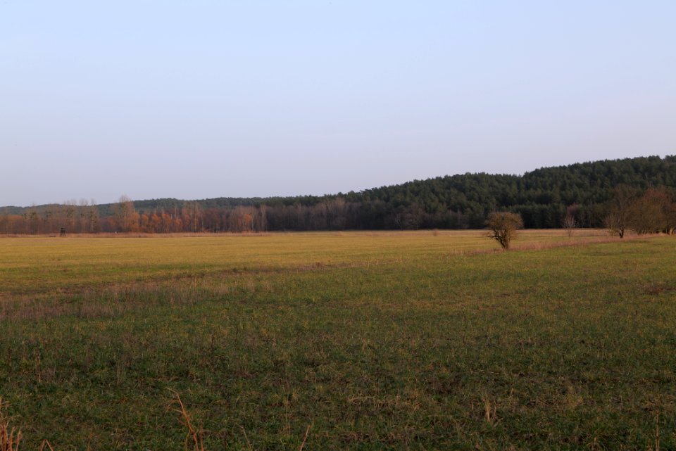 Nuthetal - Beelitzer Sander Blankensee 2021-02-24 05
