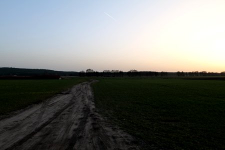 Nuthetal - Beelitzer Sander Glau 2021-02-24 07