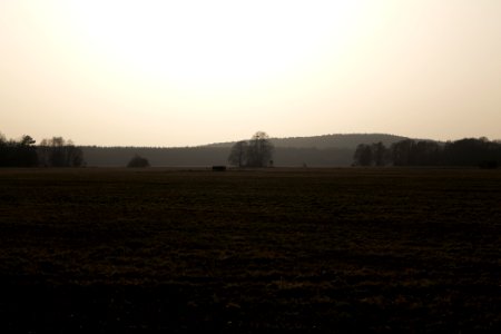 Nuthe-Nieplitz-Niederung 2021-02-24 56