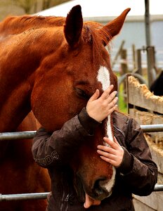 Connectedness horse girl photo