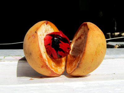 NutmegGrenada1