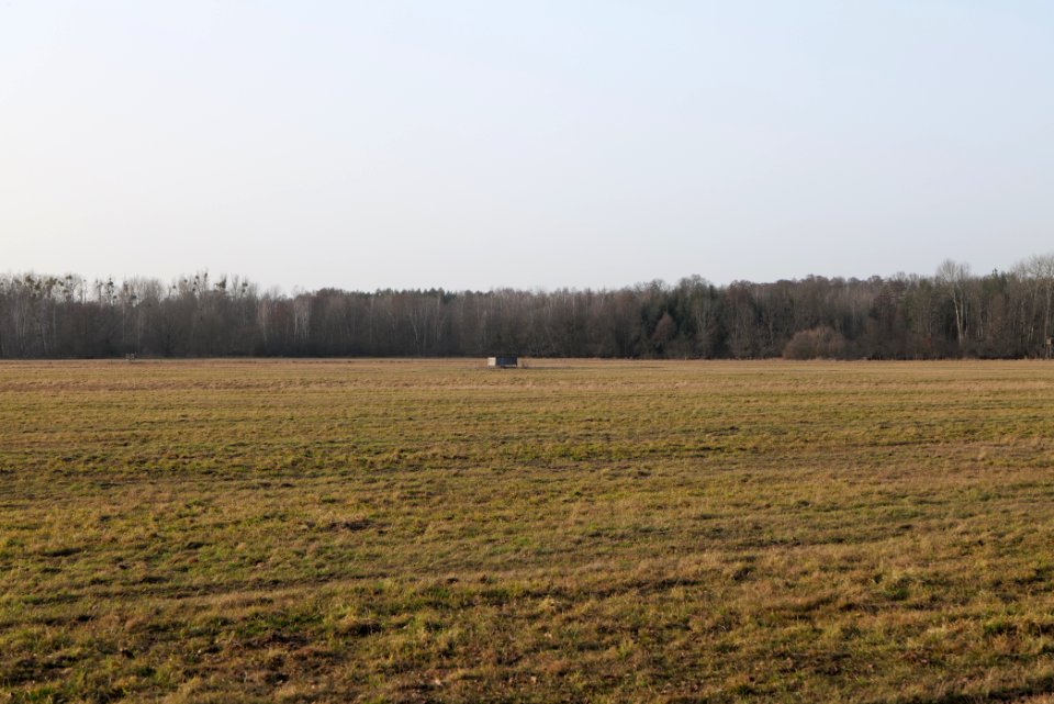 Nuthe-Nieplitz-Niederung 2021-02-24 66