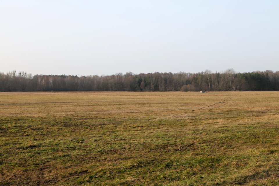 Nuthe-Nieplitz-Niederung 2021-02-24 69