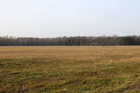 Nuthe-Nieplitz-Niederung 2021-02-24 69