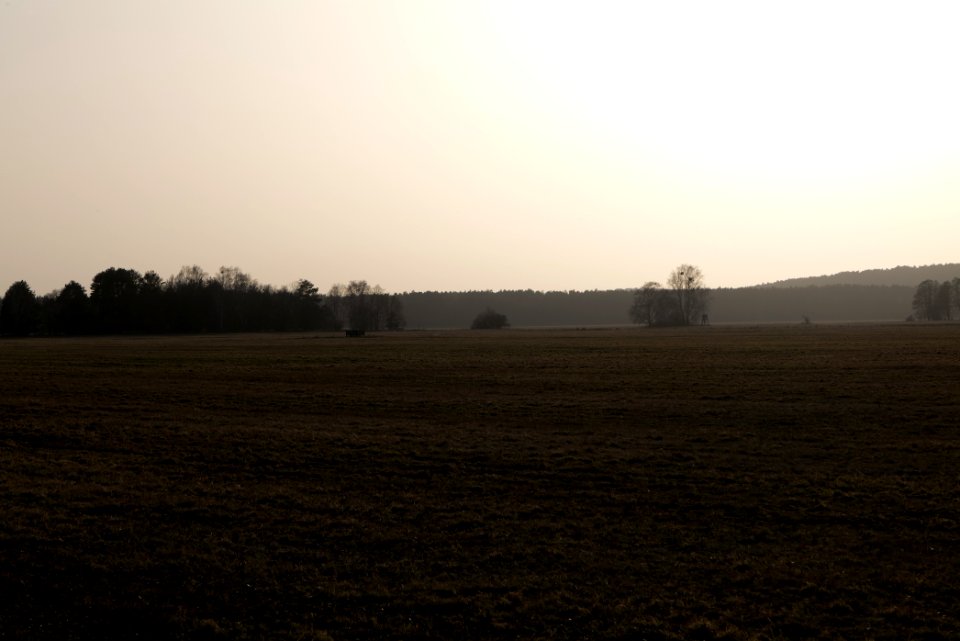 Nuthe-Nieplitz-Niederung 2021-02-24 53