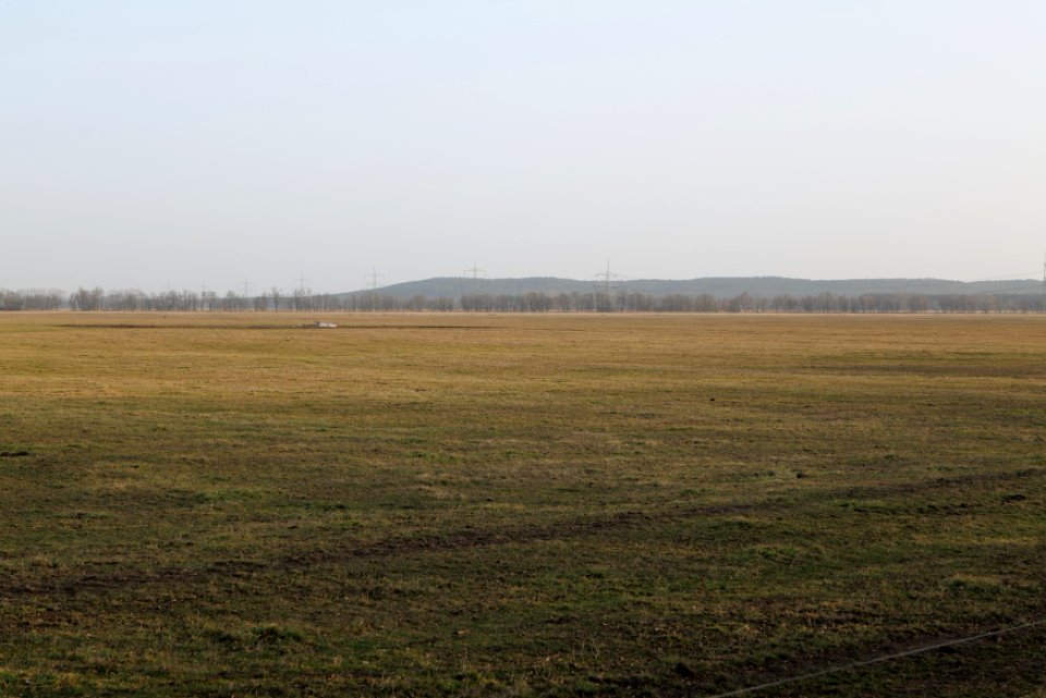 Nuthe-Nieplitz-Niederung 2021-02-24 73