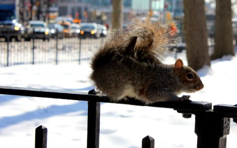 NYC Battery Park 1