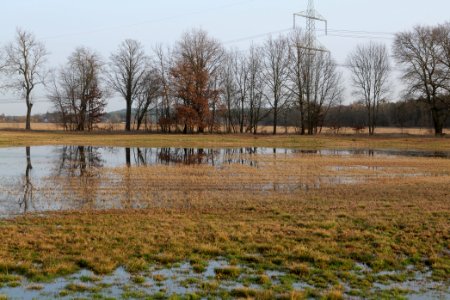 Nuthe-Nieplitz-Niederung 2021-02-24 121
