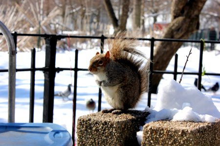 NYC Battery Park 2