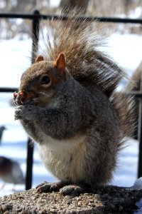 NYC Battery Park 3