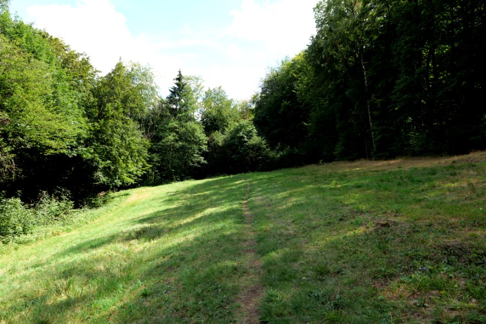 NSG Reichenbachtal 2020-08-18 10