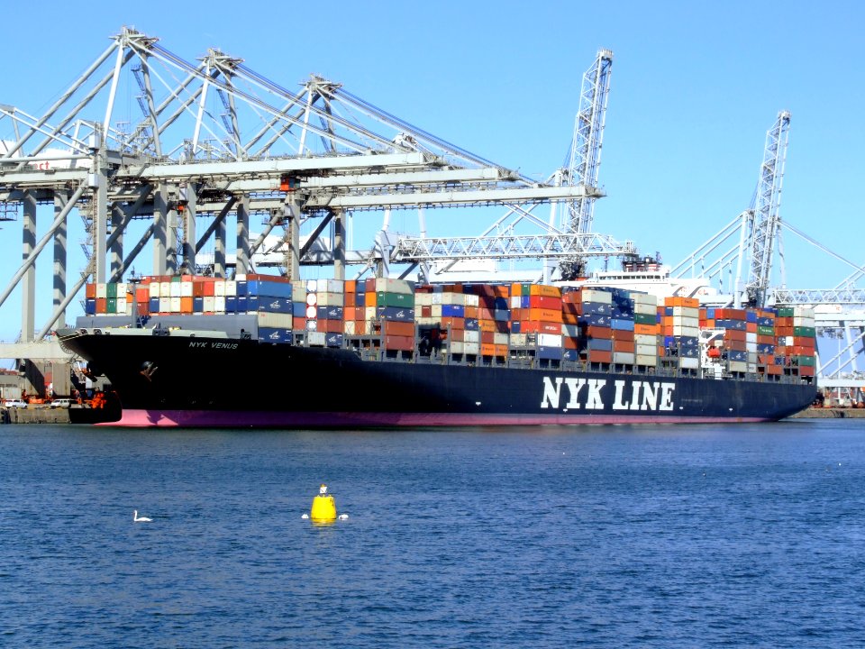 Nyk Venus, at the Amazone harbour, Port of Rotterdam, Holland 29-Aug-2007