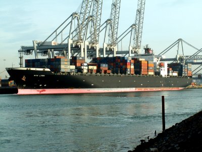 Nyk Lyra, at the Amazone harbour, Port of Rotterdam, Holland 24-Jan-2006
