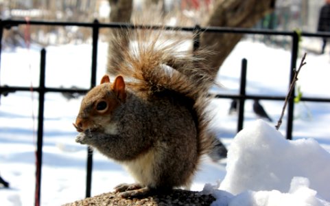 NYC Battery Park 4