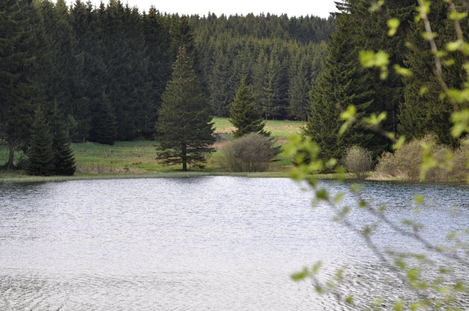 Oberer-Flambacher-Teich-01